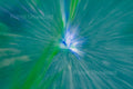 Tulip ICM Blue and Green Abstract Stock Photography