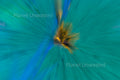 Tulip Inverted Yellow and Blue ICM Abstract Stock Photography