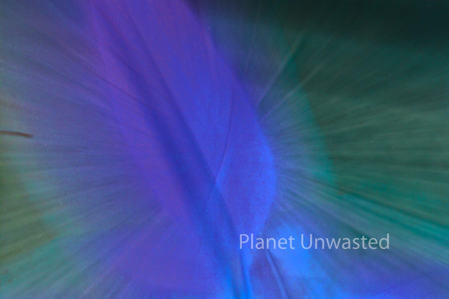 Tulip Leaf 2 Inverted Blues ICM Abstract Stock Photography