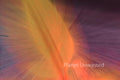 Tulip Leaf 2 Inverted Yellows ICM Abstract Stock Photography