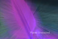 Tulip Leaf 2 Inverted ICM Abstract Stock Photography
