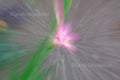 Tulip ICM Abstract Stock Photography, Crafting Background