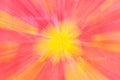 Yellow Flowers and Pink ICM Abstract Stock Photography
