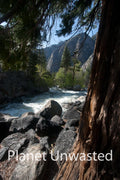 Stream Vertical at Kings Canyon National Park Stock Photography