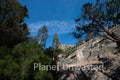 Looking Up at Kings Canyon National Park Stock Photography
