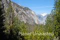 Vista at Kings Canyon National Park Stock Photography