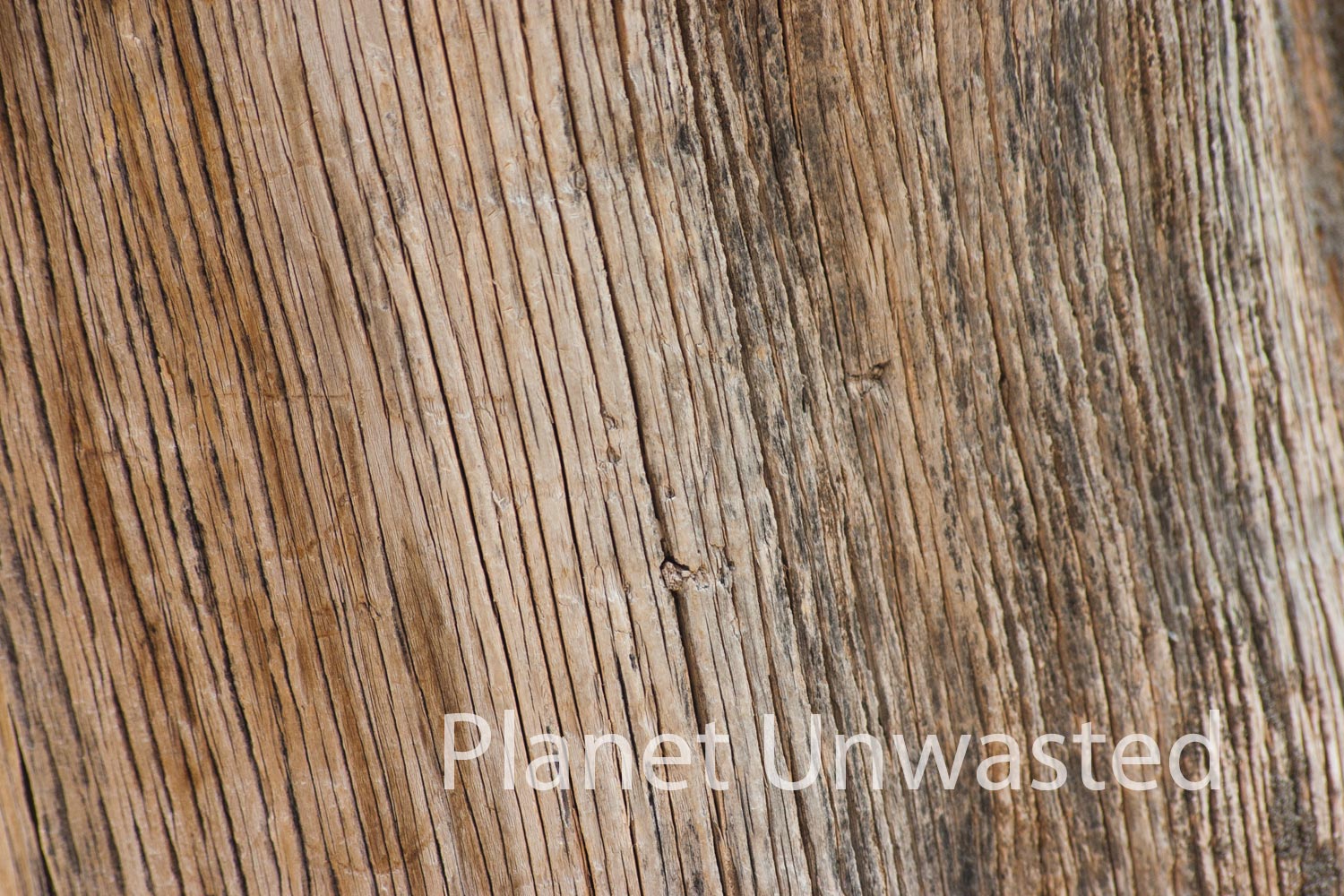 Texture at Mesa Verde National Park Photography