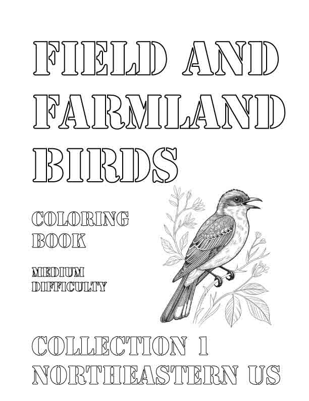 Coloring Book: Field and Farmland Birds of the Northeastern US Collection 1