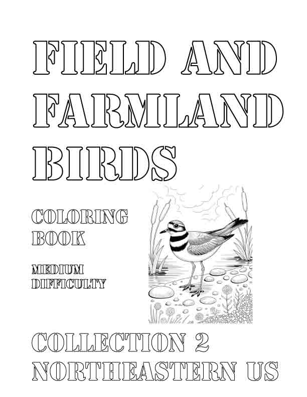 Coloring Book: Field and Farmland Birds of the Northeastern US Collection 2