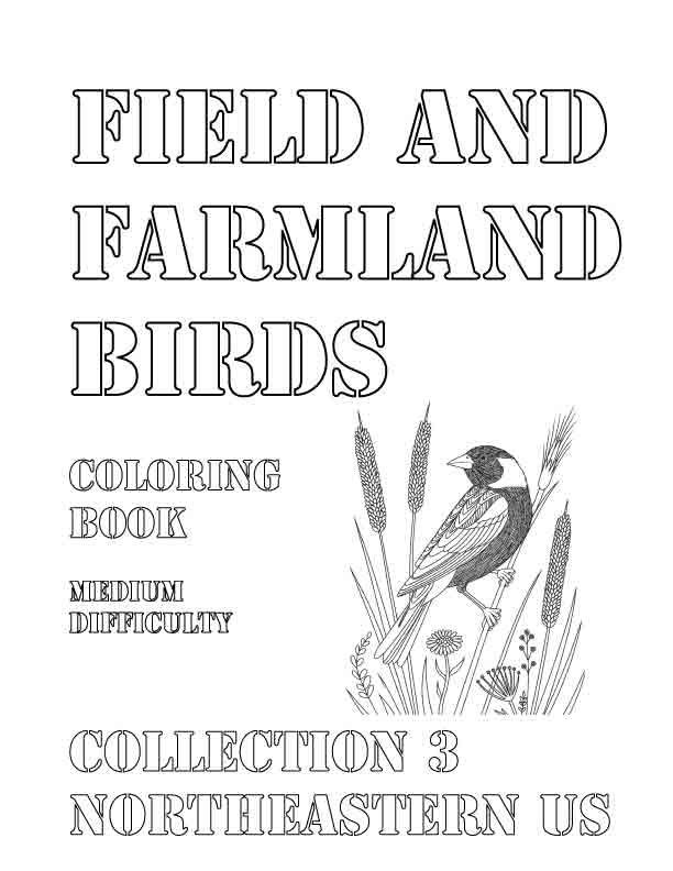 Coloring Book: Field and Farmland Birds of the Northeastern US Collection 3
