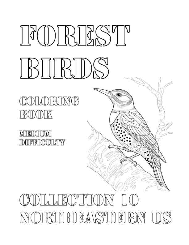 Coloring Book: Forest Birds of the Northeastern US Collection 10