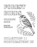 Coloring Book: Forest Birds of the Northeastern US Collection 11