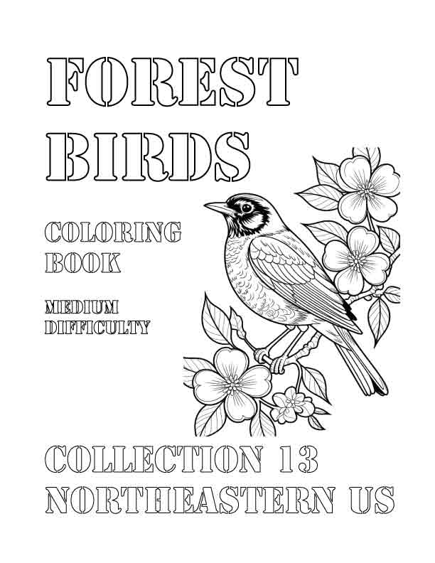 Coloring Book: Forest Birds of the Northeastern US Collection 13