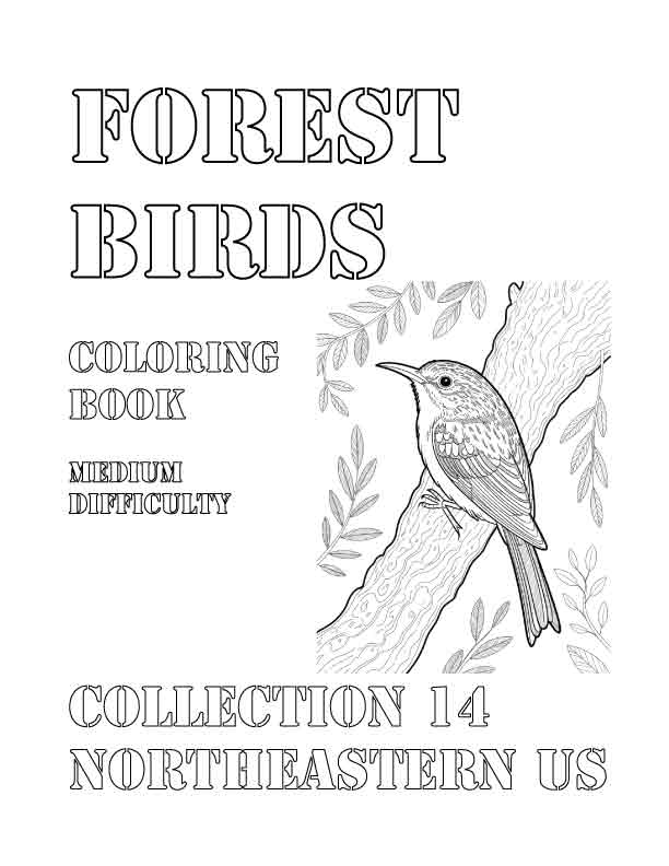 Coloring Book: Forest Birds of the Northeastern US Collection 14