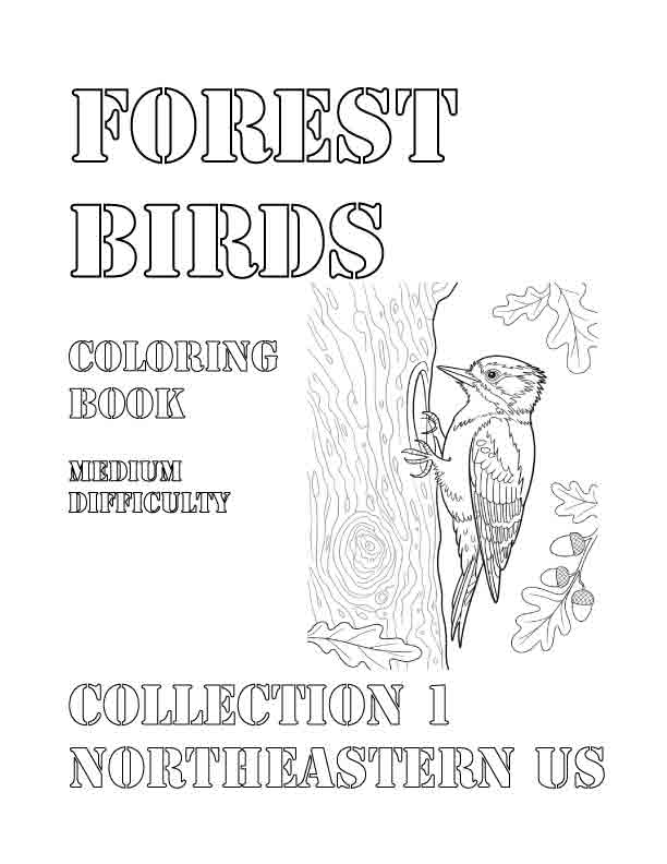 Coloring Book: Forest Birds of the Northeastern US Collection 1