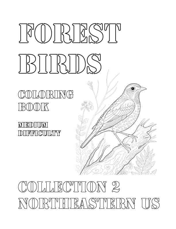 Coloring Book: Forest Birds of the Northeastern US Collection 2
