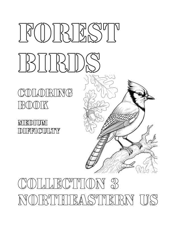 Coloring Book: Forest Birds of the Northeastern US Collection 3