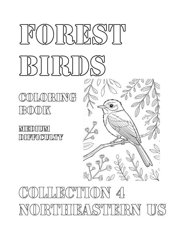 Coloring Book: Forest Birds of the Northeastern US Collection 4