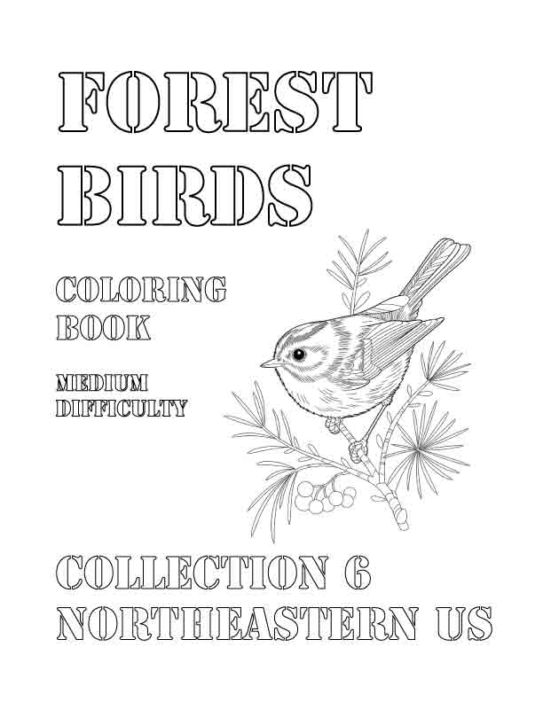 Coloring Book: Forest Birds of the Northeastern US Collection 6