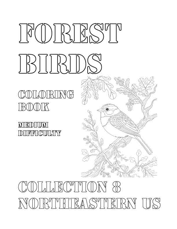Coloring Book: Forest Birds of the Northeastern US Collection 8