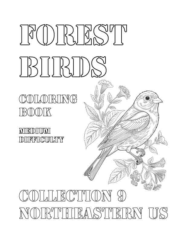 Coloring Book: Forest Birds of the Northeastern US Collection 9