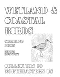 Coloring Book: Wetland and Coastal Birds of the Northeastern US Collection 10