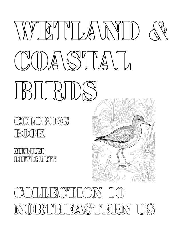 Coloring Book: Wetland and Coastal Birds of the Northeastern US Collection 10