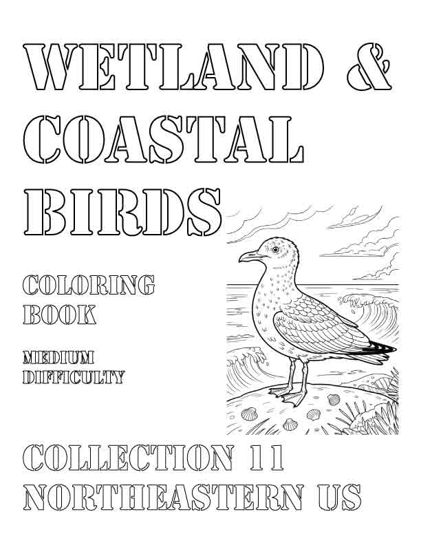 Coloring Book: Wetland and Coastal Birds of the Northeastern US Collection 11