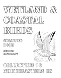 Coloring Book: Wetland and Coastal Birds of the Northeastern US Collection 12
