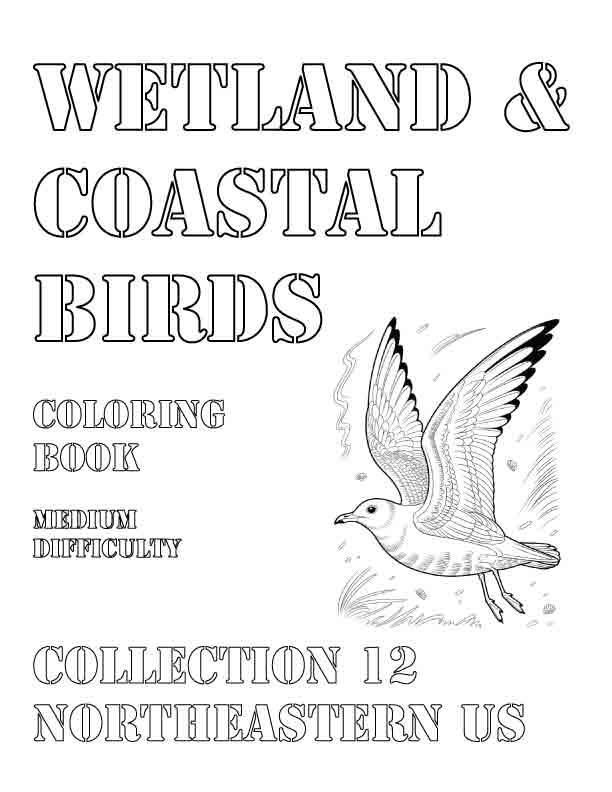 Coloring Book: Wetland and Coastal Birds of the Northeastern US Collection 12