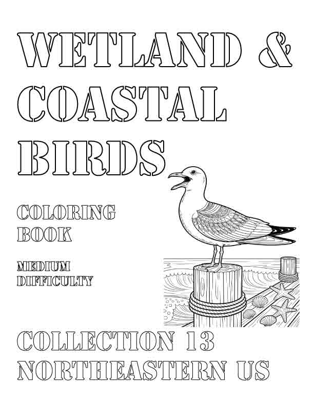 Coloring Book: Wetland and Coastal Birds of the Northeastern US Collection 13