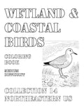 Coloring Book: Wetland and Coastal Birds of the Northeastern US Collection 14