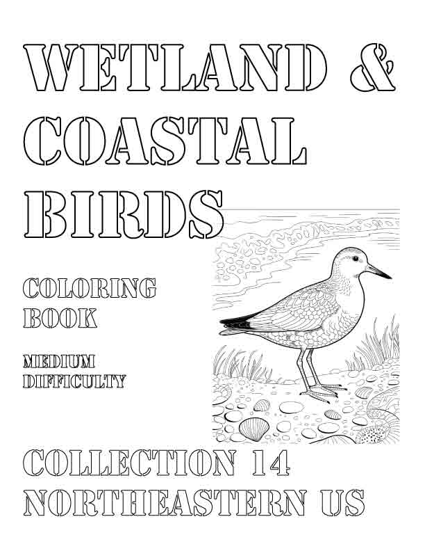 Coloring Book: Wetland and Coastal Birds of the Northeastern US Collection 14