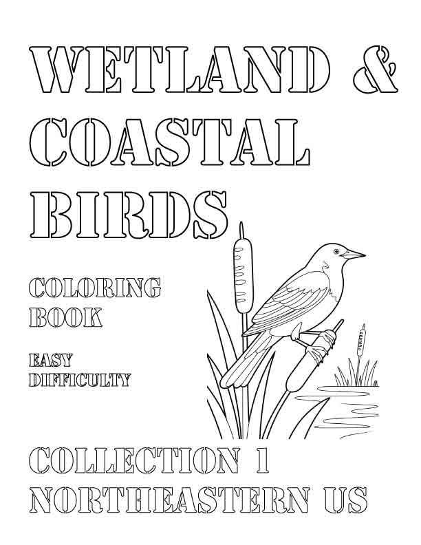 Coloring Book: Wetland and Coastal Birds of the Northeastern US Collection 1