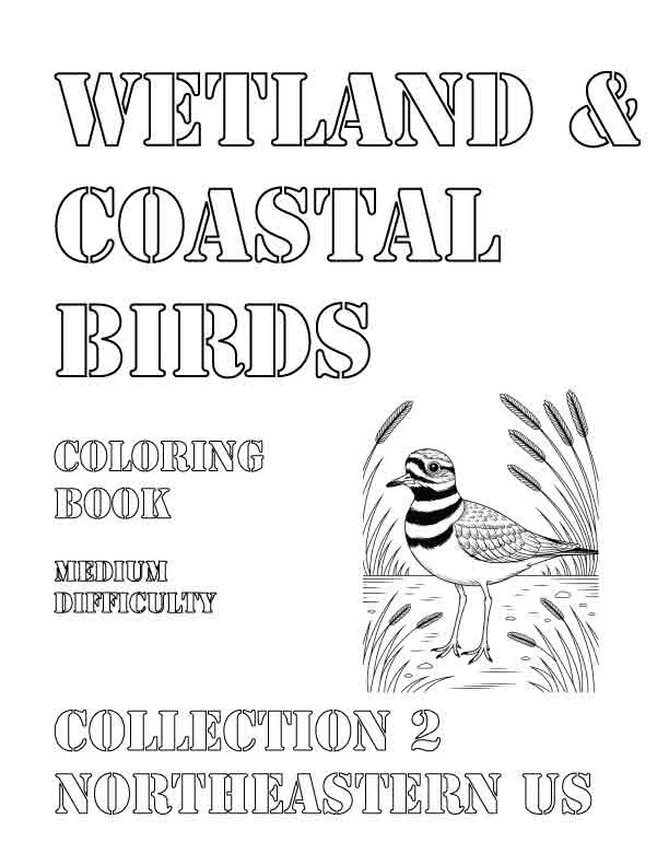 Coloring Book: Wetland and Coastal Birds of the Northeastern US Collection 2