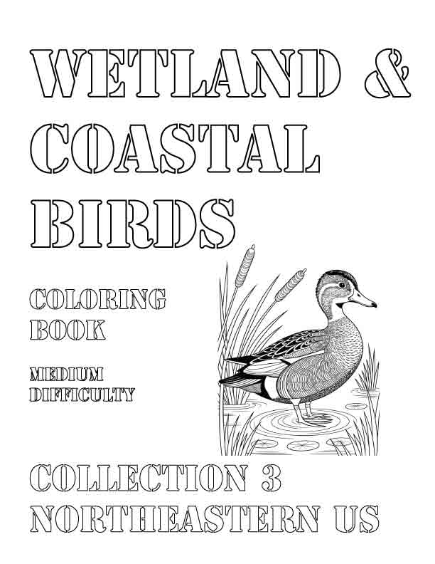 Coloring Book: Wetland and Coastal Birds of the Northeastern US Collection 3