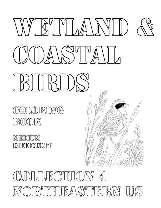 Coloring Book: Wetland and Coastal Birds of the Northeastern US Collection 4