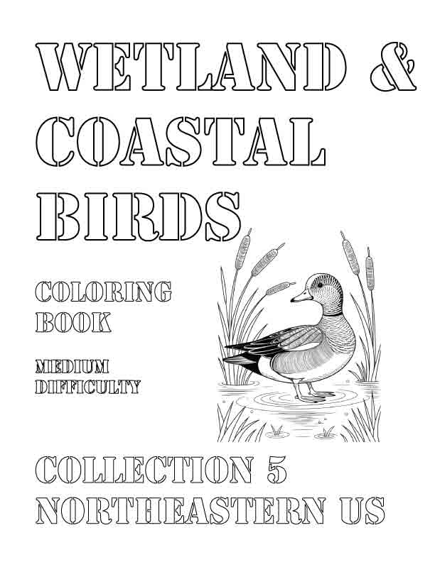Coloring Book: Wetland and Coastal Birds of the Northeastern US Collection 5