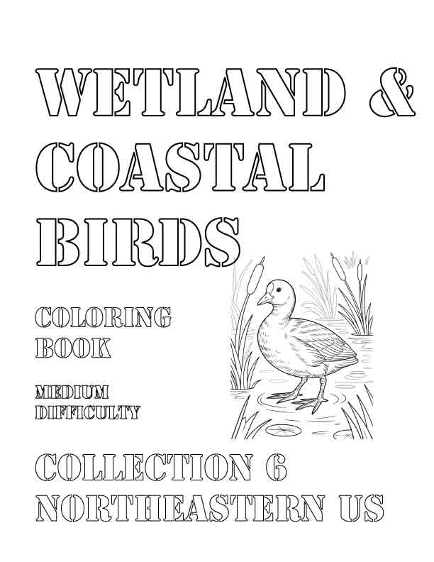 Coloring Book: Wetland and Coastal Birds of the Northeastern US Collection 6