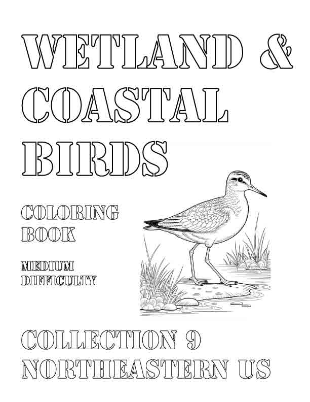 Coloring Book: Wetland and Coastal Birds of the Northeastern US Collection 9