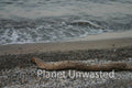 Shore Branch at Ottawa National Wildlife Refuge Stock Photography