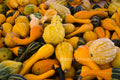Gourds Stock Photography, Crafting Background, Junk Journaling