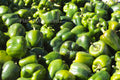 Green Peppers Stock Photography, Crafting Background, Junk Journaling