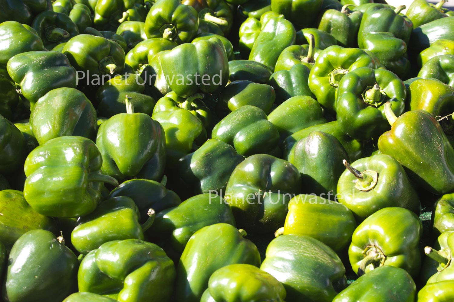 Green Peppers Stock Photography, Crafting Background, Junk Journaling