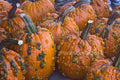 Bumpy Pumpkins Stock Photography, Crafting Background, Junk Journaling