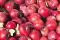 Red Delicious Apples Stock Photography, Crafting Background