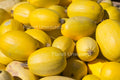 Spaghetti Squash Stock Photography, Crafting Background