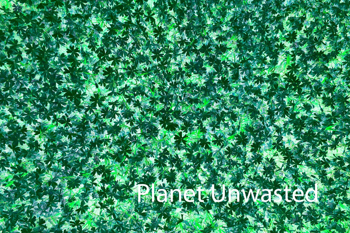 Purple Flower Patch Inverted Greens Texture Original Photograph