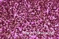 Purple Flower Patch Inverted Pinks Texture Original Photograph