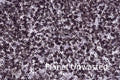 Purple Flower Patch Inverted Purplish Grays Texture Original Photograph
